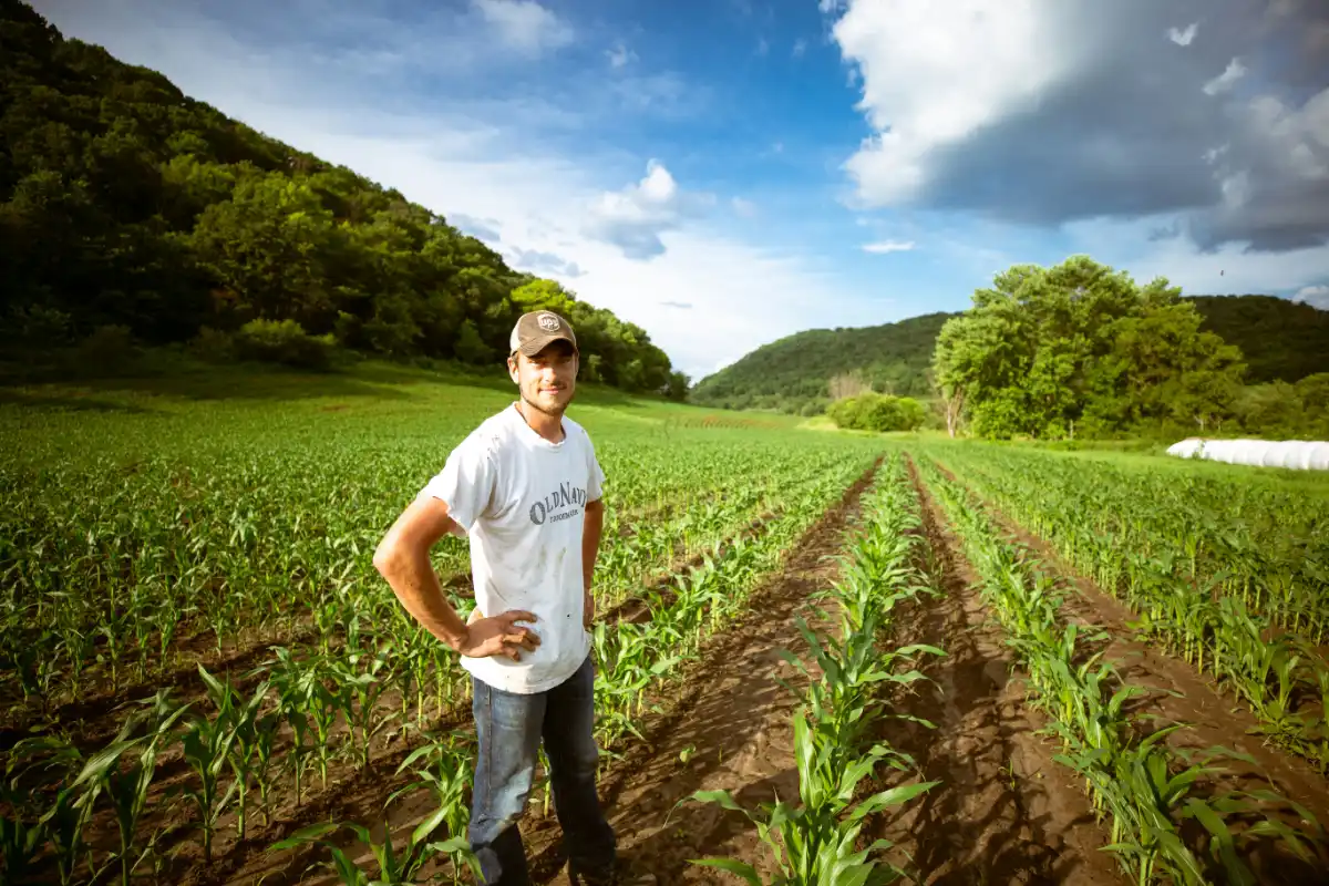 Cette image illustre l'article de blog sur l'alimentation des stocks, par Elzeard.