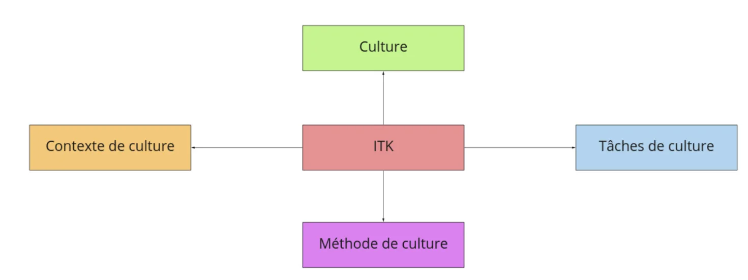 Vue générale de ce qu’est un ITK