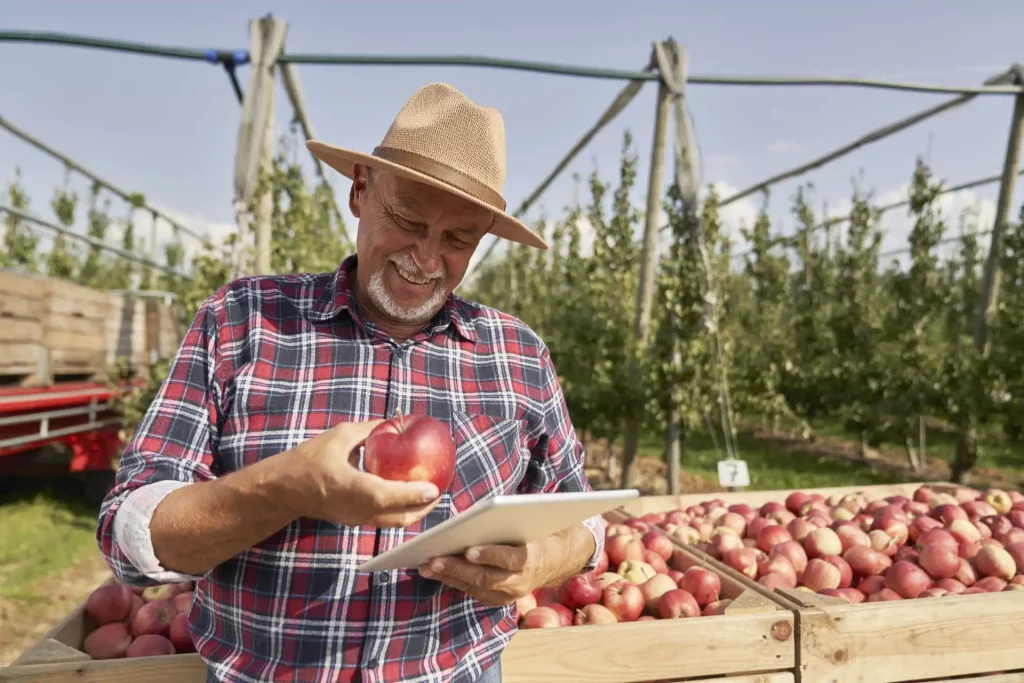 Un agriculteur regarde son logiciel de gestion agricole.