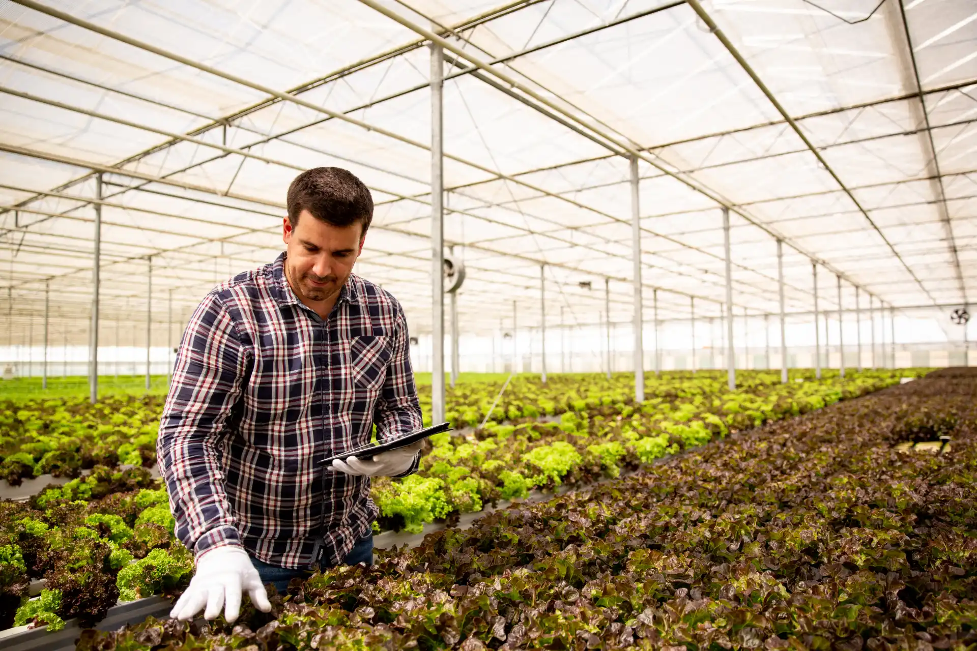 Un agriculteur avec une tablette.