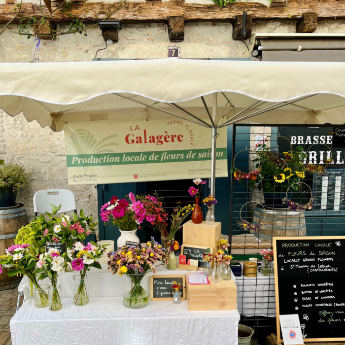 Ferme florale Galagere etal production fleurs diversifiées